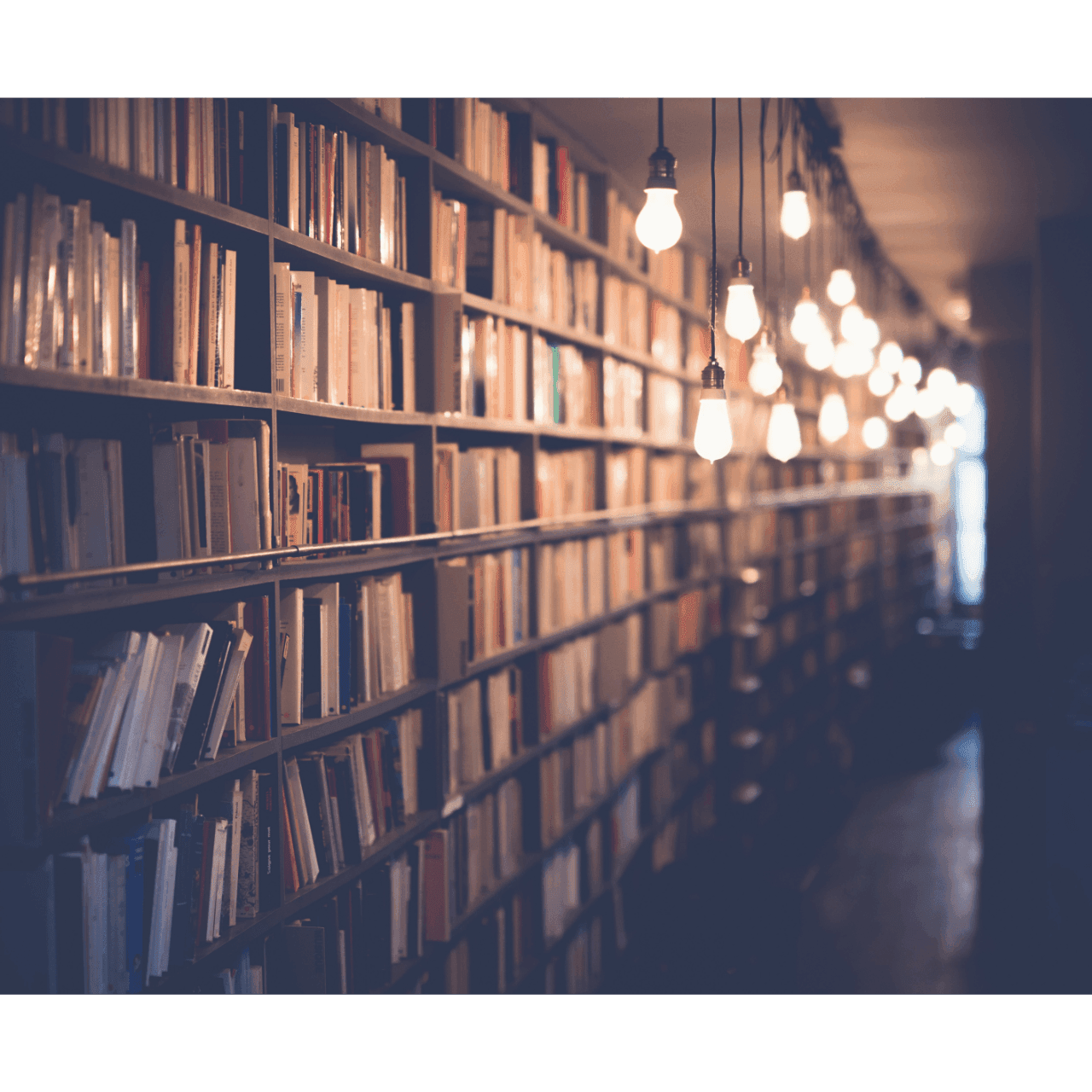 Interface Documentation Maturity Levels (IDML): An Introduction